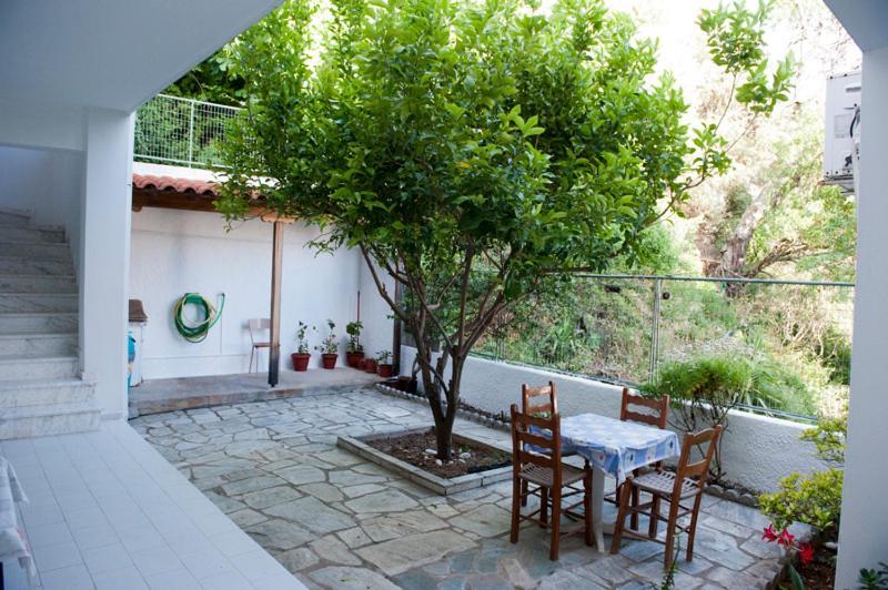 Syraina Apartments Skiathos Town Exterior photo